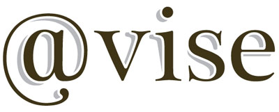 Nasi partnerzy. Logo VISe
